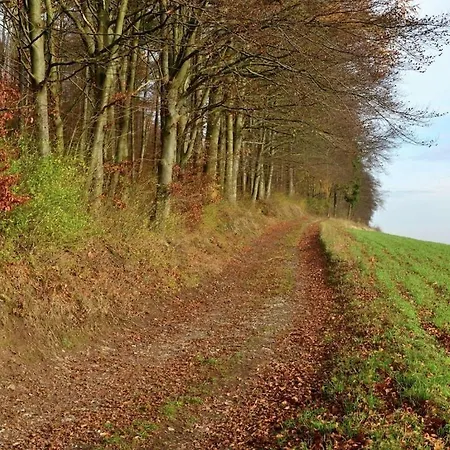 In Loewensen With Terrace *